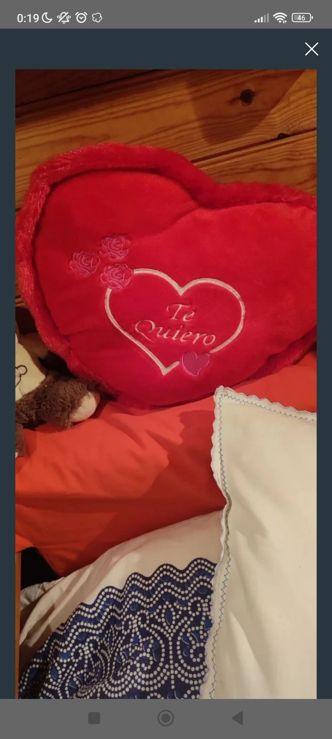 Cojín te quiero